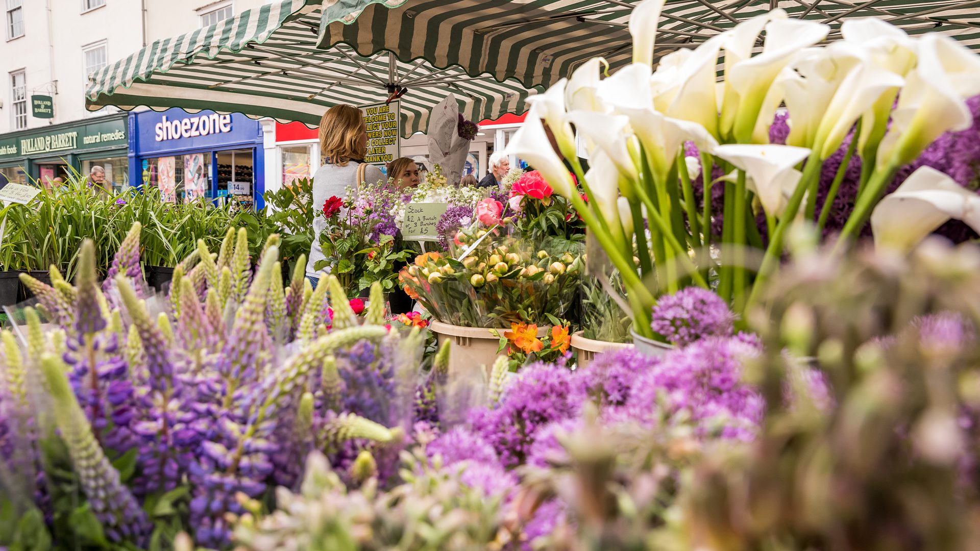 Close up photo of flowers on a stall