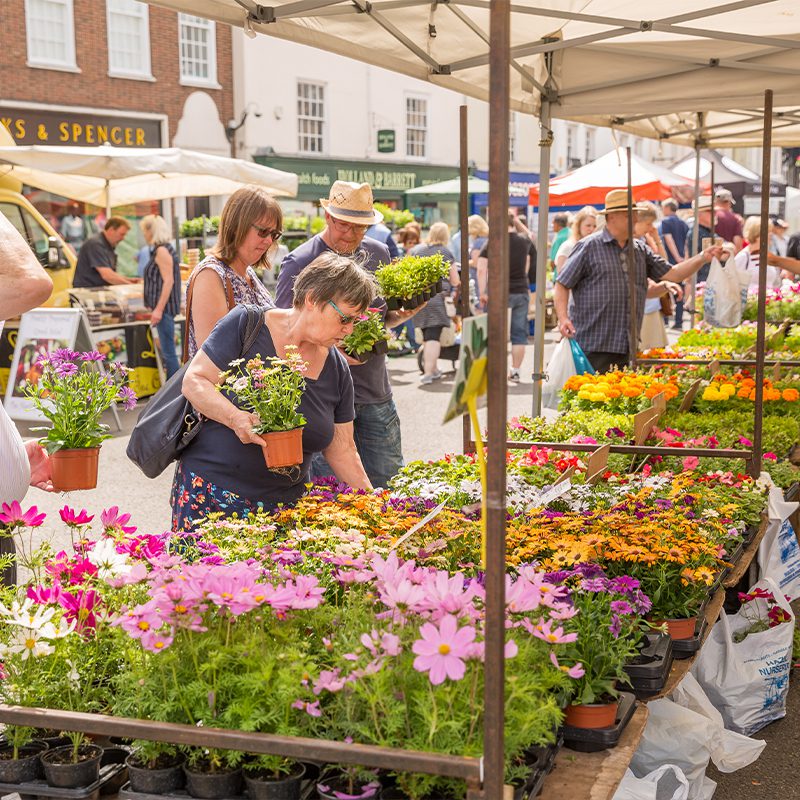 Flower and plant market stall