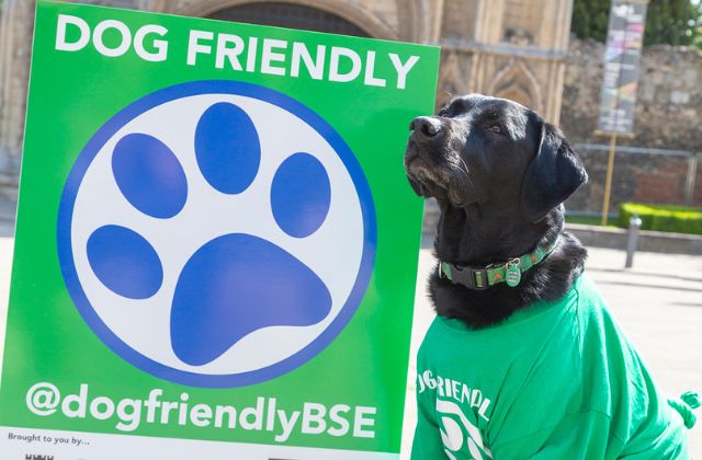 Bury St Edmunds – England’s Most Dog Friendly Town